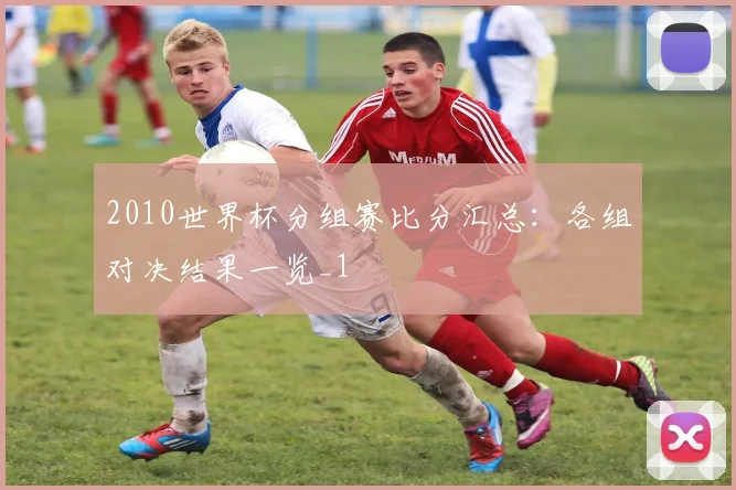 2010世界杯分组赛比分汇总：各组对决结果一览_1