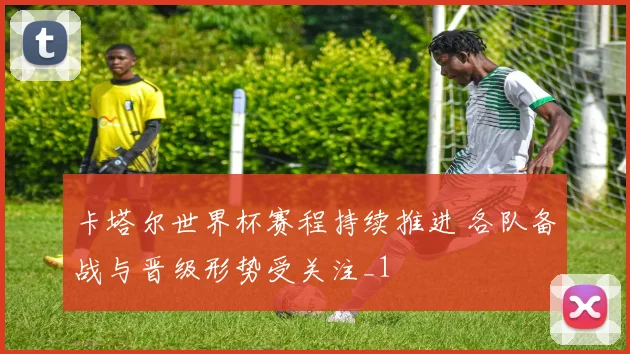 卡塔尔世界杯赛程持续推进 各队备战与晋级形势受关注_1