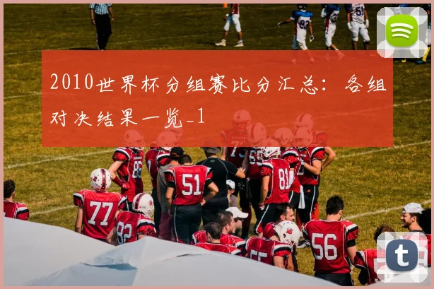 2010世界杯分组赛比分汇总：各组对决结果一览_1