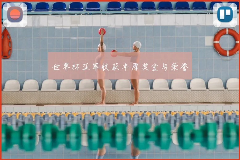 世界杯亚军收获丰厚奖金与荣誉